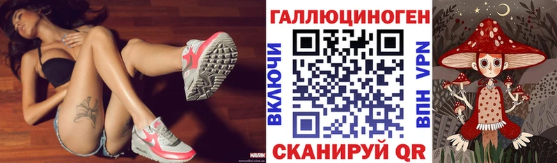где купить наркоту  Бавлы  Псилоцибиновые грибы Psilocybe 