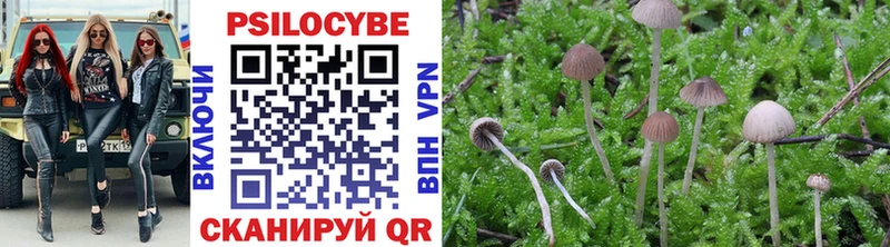 Галлюциногенные грибы MAGIC MUSHROOMS Бавлы